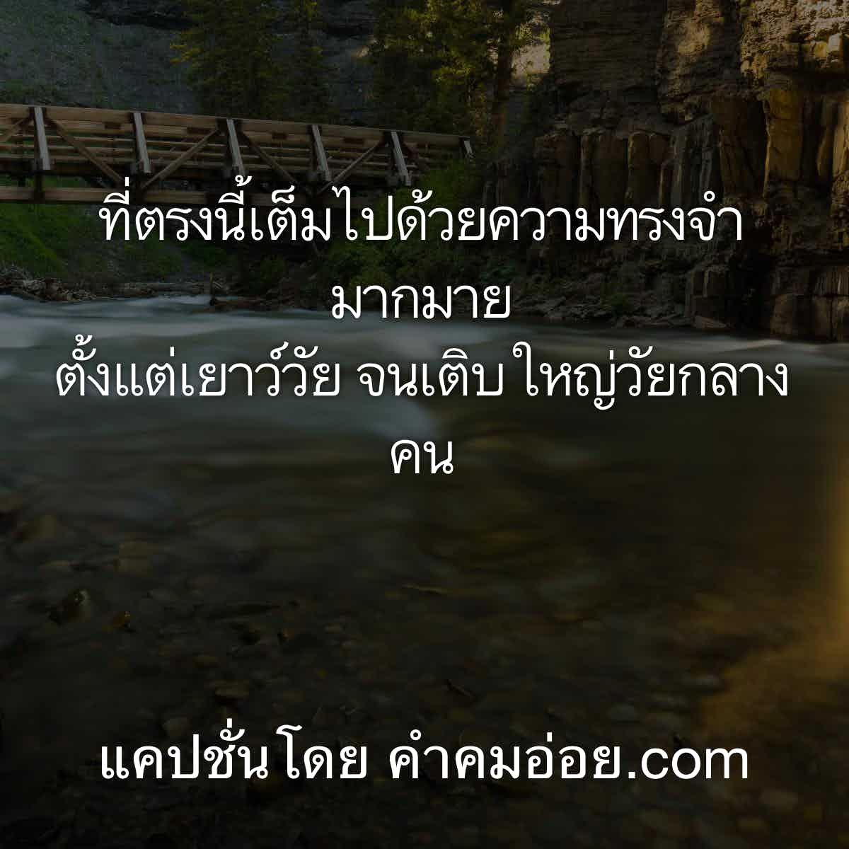 113 ภาพความทรงจำ คำคมแอบรักเพื่อน